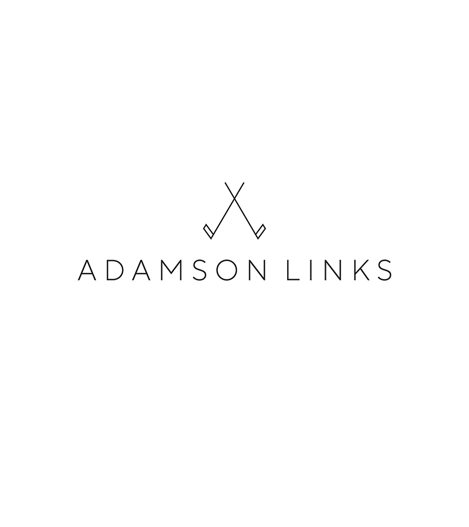 Adamson Links Logo