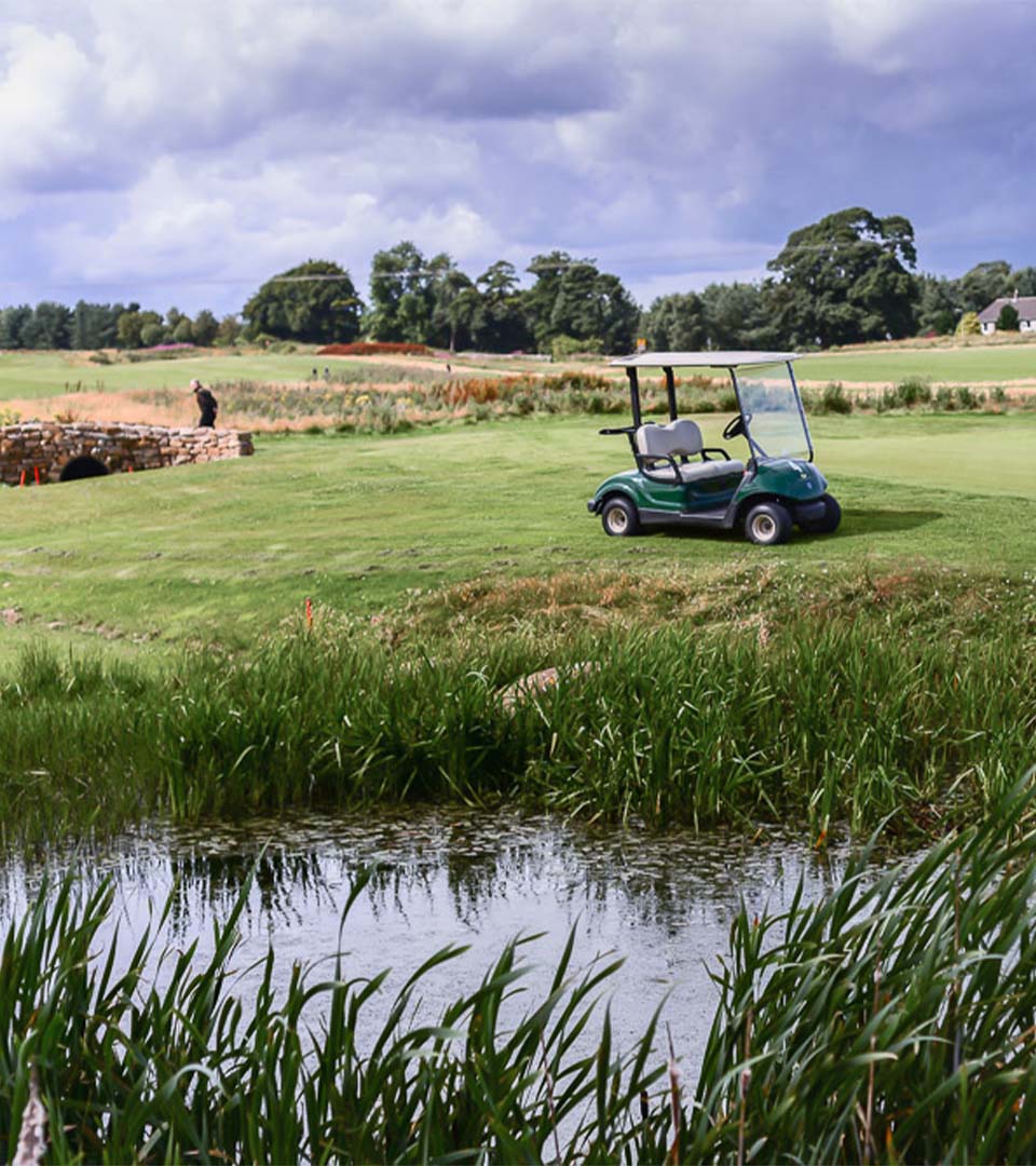 Elmwood Golf
