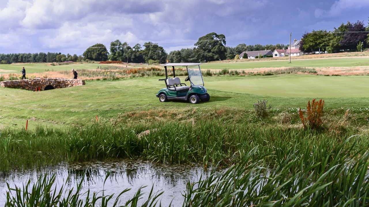 Elmwood Golf